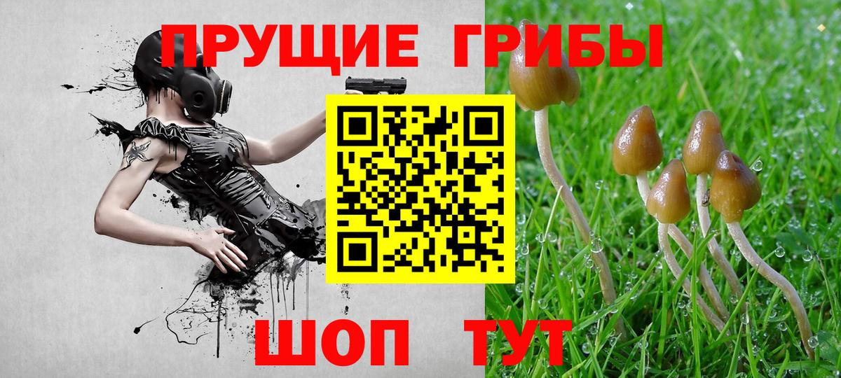 Галлюциногенные грибы GOLDEN TEACHER  магазин продажи наркотиков  Троицк  Вход с VPN 